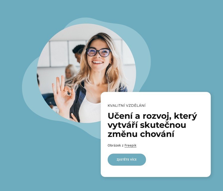 Obsah vzdělávání a rozvoje Téma WordPress