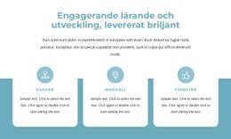 Engagerande Lärande Och Utveckling