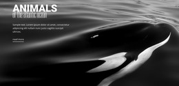 Wildlife Nature Animals - Modern Web Template