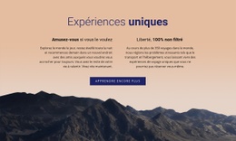 Expériences Uniques - Conception D'Une Seule Page