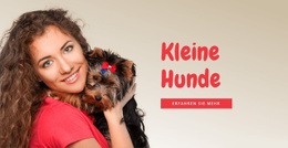 Kleine Hunde Für Familien – Einfacher Website-Builder