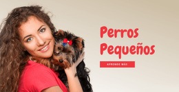 Diseño De Sitio Web Premium Para Perros Pequeños Para Familias