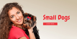 Small Dogs For Families - Custom HTML5 Template