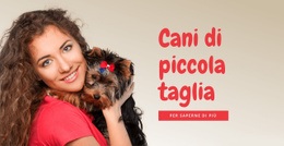 Cani Di Piccola Taglia Per Famiglie