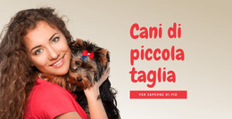 Cani Di Piccola Taglia Per Famiglie - Modello Joomla Multiuso Creativo