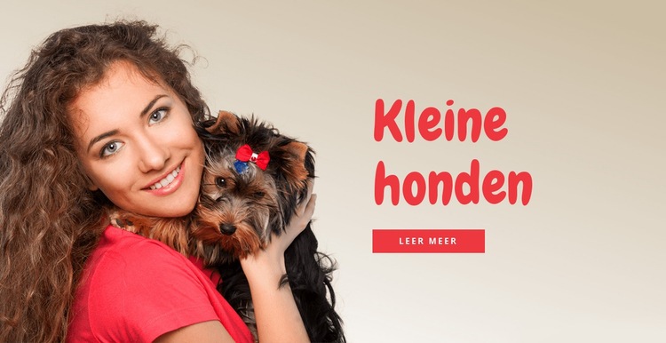 Kleine honden voor gezinnen Bestemmingspagina