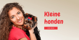 Kleine Honden Voor Gezinnen