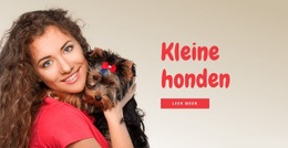 Meest Creatieve Websitemodel Voor Kleine Honden Voor Gezinnen