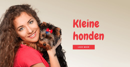 Kleine Honden Voor Gezinnen