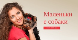 Премиальный Дизайн Веб-Сайта Для Маленькие Собаки Для Семей