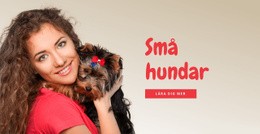 Webbplatsdesign För Små Hundar För Familjer