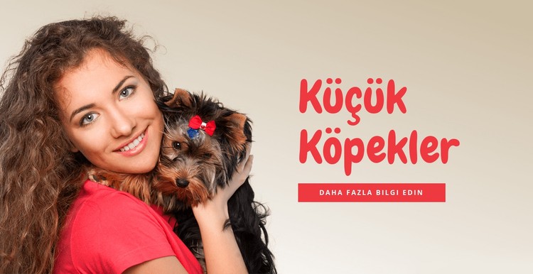 Aileler için küçük köpekler CSS Şablonu