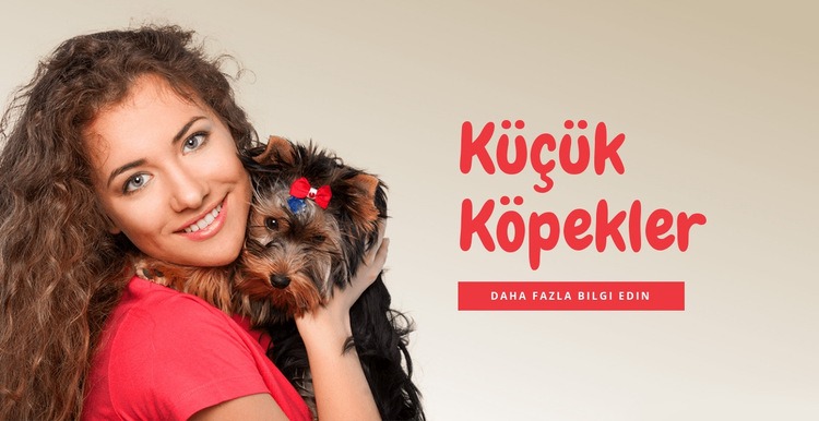 Aileler için küçük köpekler Web Sitesi Mockup'ı