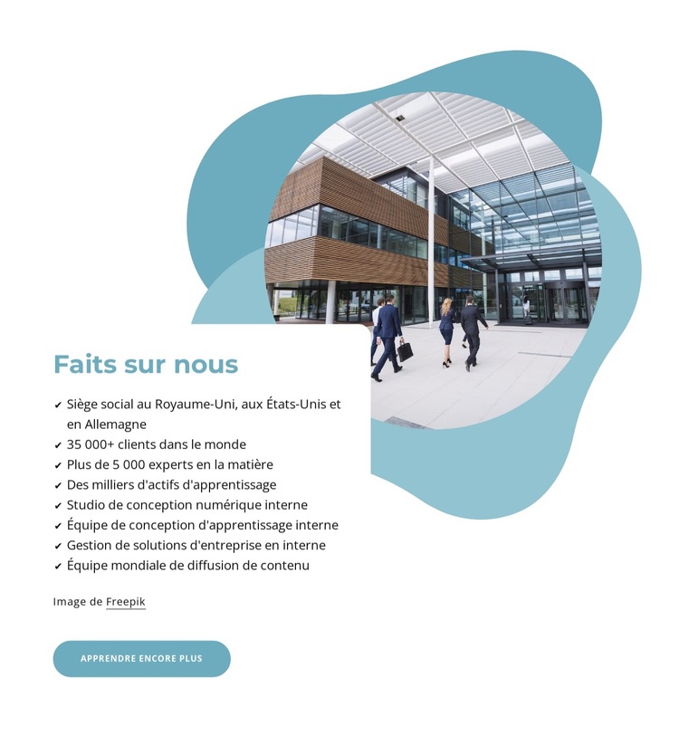 Faits sur nous Thème WordPress