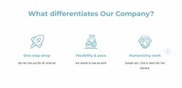 What differentiates our company - Html Code Example by Nicepage
