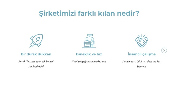 Şirketimizi farklı kılan nedir? WordPress Teması