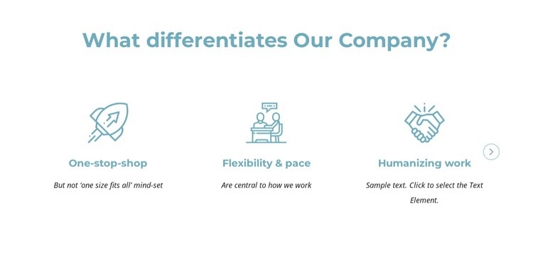 What differentiates our company Webflow Template Alternative