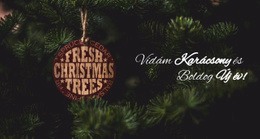 Nyaralás Ideje Weboldal Tervezés