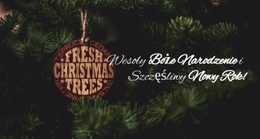 Czas Wakacji - Darmowe Szablony