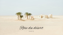 Voyage Dans Les Oasis - HTML File Creator