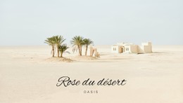 Voyage Dans Les Oasis Modèle Premium