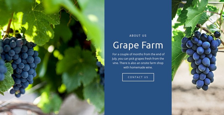 Grape Farm Elementor Template Alternative