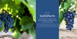 Szőlőfarm – Reszponzív HTML5-Sablon