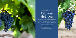 Fattoria Dell'Uva - Modello Di Pagina HTML