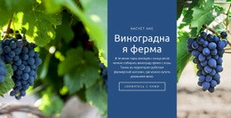 Виноградная Ферма – Шаблон HTML-Страницы