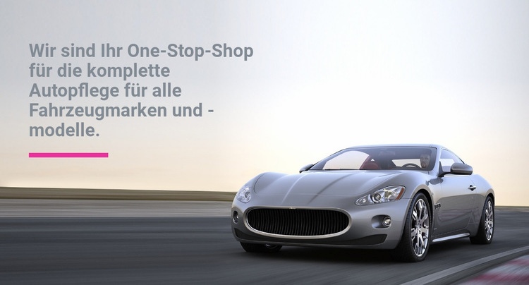 Autovermietung Landing Page