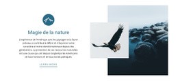 Magie De La Nature - Créer Une Maquette De Page Web