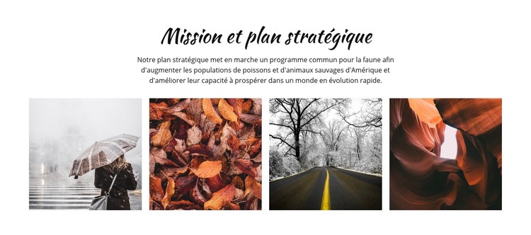 Processus de planification stratégique Maquette de site Web
