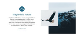 Magie De La Nature : Modèle De Site Web Simple
