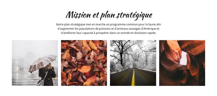 Processus de planification stratégique Modèle d'une page