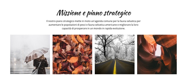 Processo di pianificazione strategica Modelli di Website Builder