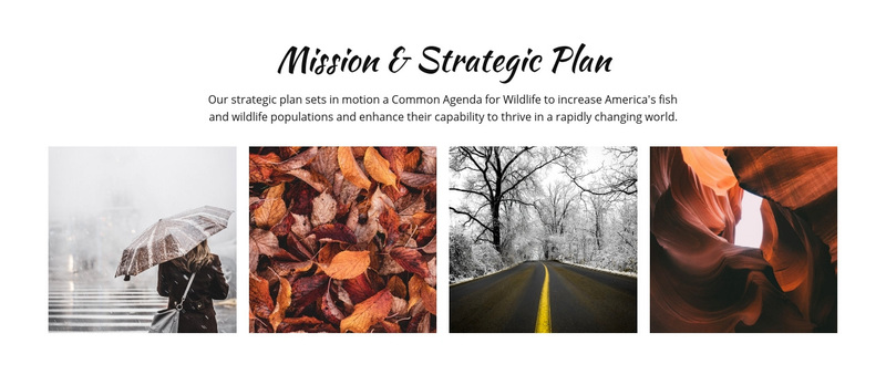 Strategic planning process Web Page Design