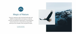 Magic Of Nature - Create Web Page Mockup