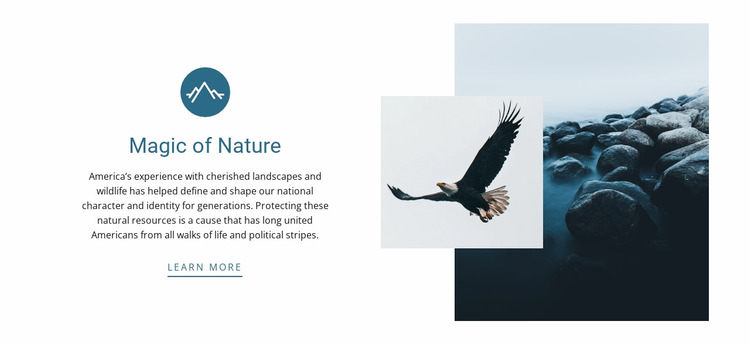 magic of nature Website Mockup