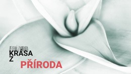 Květiny Jsou Hudbou Země – Šablona Jedné Stránky