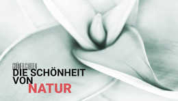 Blumen Sind Die Musik Des Bodens - Benutzerfreundliche Joomla-Vorlage