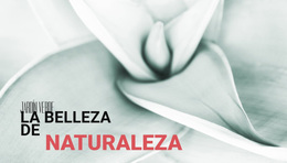 Las Flores Son La Música Del Suelo #Wordpress-Themes-Es-Seo-One-Item-Suffix