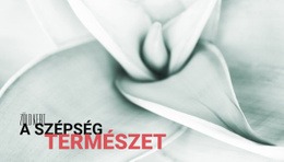 A Virágok A Föld Zenéje #Website-Templates-Hu-Seo-One-Item-Suffix