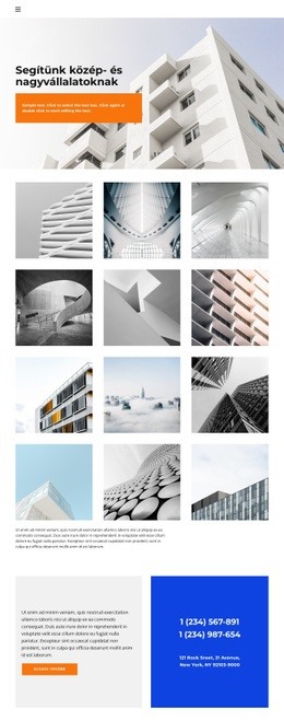 Galéria És Útmutatók