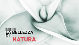 I Fiori Sono La Musica Della Terra