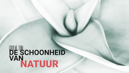 Bloemen Zijn De Muziek Van De Grond - Beste Gratis WordPress-Thema