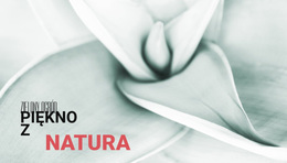 Kwiaty Są Muzyką Ziemi - Najlepszy Darmowy Motyw WordPress