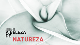 As Flores São A Música Da Terra - Melhor Tema WordPress Gratuito