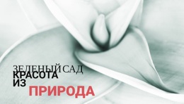 Цветы - Это Музыка Земли