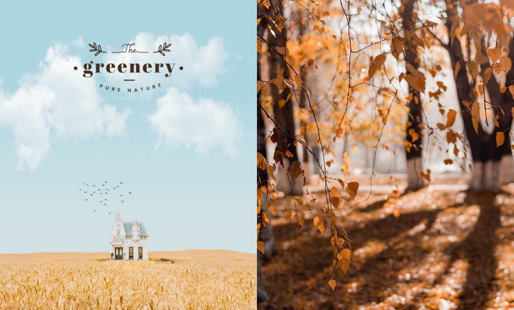 Autumn colors Homepage Design