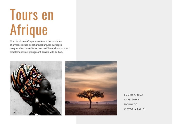 Voyages en Afrique Maquette de site Web